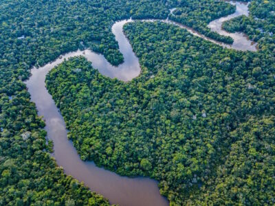 De Amazone (6.400 km)