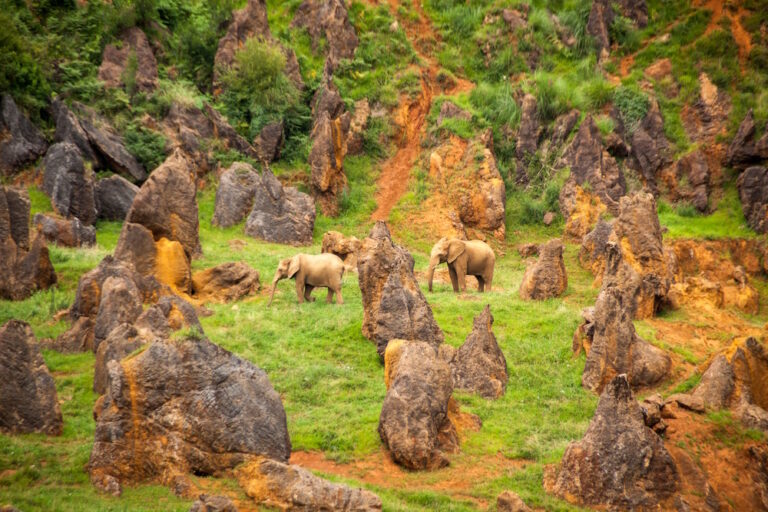 Cabarceno Natural Park