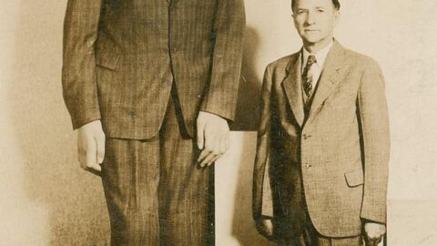 Robert Wadlow