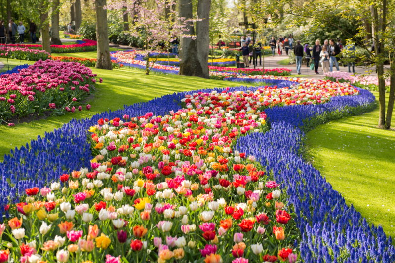 Top 10 Leukste Uitjes in Nederland