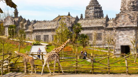 Pairi Daiza