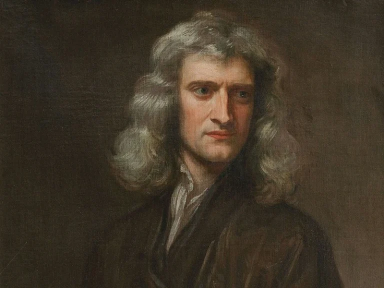 newton optimized