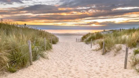wijk aan zee optimized