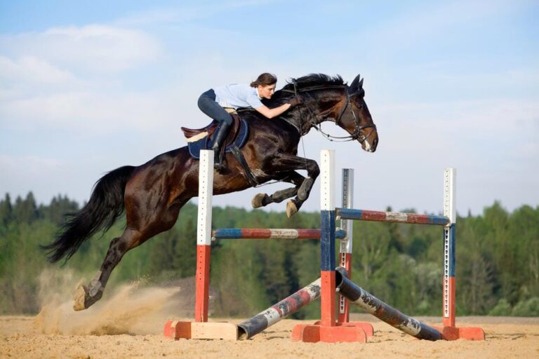 Top 10 Meest Geliefde Boerderijdieren