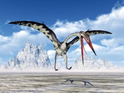 Quetzalcoatlus