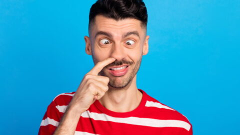 Top 10 Leukste Korte Belgenmoppen